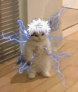 ⚪️ Killua Zoldyck Hunter x Hunter cat, anime, manga, killua, hunter x hunter, cartoon, electricity telegram sticker