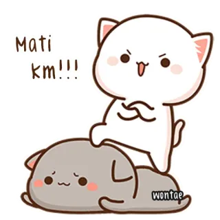 🍥 Mati km!!! Katze, Cartoon, Sticker, Pfirsich, süß telegram sticker