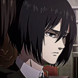 ❕ Mikasa Ackerman Attack on Titan 动漫, 漫画, 角色, 肖像, 女人, 严肃, 黑发 telegram sticker