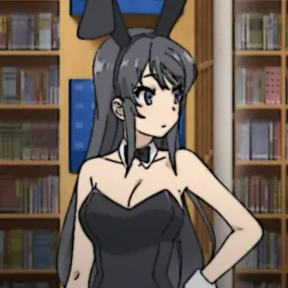🐰 Mai Sakurajima Rascal Does Not Dream of Bunny Girl Senpai 애니메이션, 바니걸, 마이 사쿠라지마, 캐릭터, 소설 whatsapp sticker