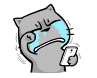 😭 Katze, traurig, weinend, verärgert, Tränen, Handy, grau telegram sticker