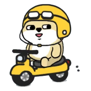 ✳️ dog, scooter, helmet, animal, cartoon, transportation telegram sticker