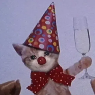 🥂 cat, clown, party, celebration, sad whatsapp sticker