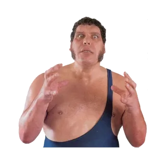 😁 Andre the Giant catch, catcheur, géant, André, sport, années 80 telegram sticker