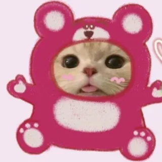 🌟 mèo, dễ thương, động vật, mèo con, hồng, vui nhộn, Lotso telegram sticker