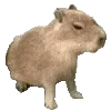 🫤