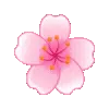 🌸