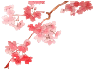 ✨ flower, blossom, floral, branch, spring, plant telegram sticker