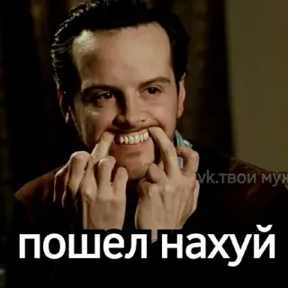 🖕 ПОШЕЛ НАХУЙ Meme, Beleidigung, Russisch telegram sticker