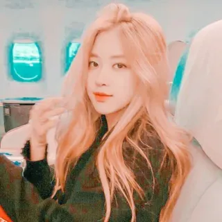 🌸 Rosé Rosé, Blackpink, K-pop, cantante, aereo whatsapp sticker