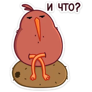 🤨 И ЧТО? Vogel, Cartoon, Russisch, Sticker whatsapp sticker