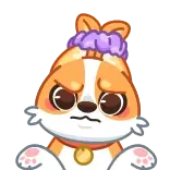 🤷 cane, corgi, animale, carino, arrabbiato, contrariato telegram sticker