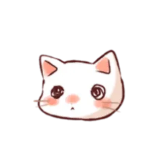 ☹ кот, котенок, белый кот, милый, наклейка, животное whatsapp sticker