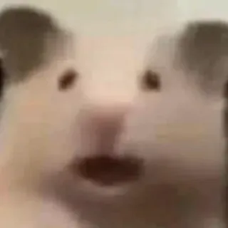 😧 hamster, rongeur, animal, animal de compagnie, mignon, choqué telegram sticker