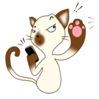 📲 gatto, gattino, carino, animale, animale domestico, telefono whatsapp sticker