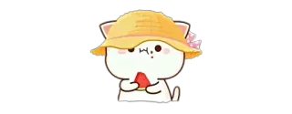🍉 고양이, 수박, 귀여운, 스티커, 만화, 여름 telegram sticker