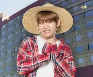 🙏 Person, Hut, Karo, Kpop, Lächeln, Süß, Mode, Berühmtheit telegram sticker