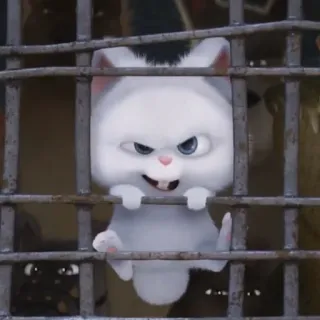 😛 Snowball The Secret Life of Pets conejo, conejito, dibujo animado, animal, blanco, lindo whatsapp sticker