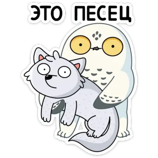 😕 ЭТО ПЕСЕЦ coruja, raposa-do-ártico, desenho animado, animal, engraçado telegram sticker