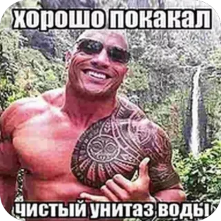 🫥 Dwayne Johnson The Rundown ХОРОШО ПОКАКАЛ ЧИСТЫЙ УНИТАЗ ВОДЫ dwayne johnson, the rock, meme, toilet humor, funny, muscular telegram sticker