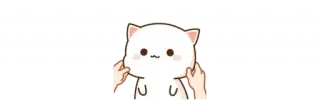 💞 แมว, นิ้วกลาง, ก้าวร้าว, น่ารัก, หยาบคาย telegram sticker