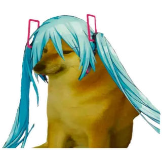 👧 Hatsune Miku doge, cane, meme, Cheems, Hatsune Miku, anime telegram sticker