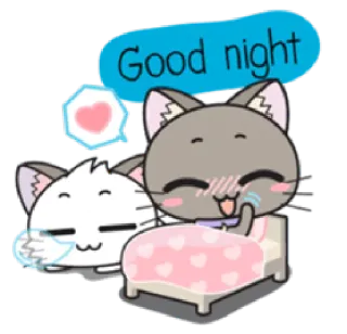 💕 Good night gato, boa noite, fofo, sonolento, animal, cama whatsapp sticker