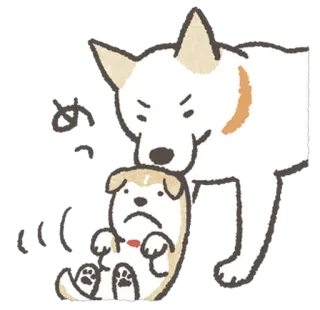 🙁 め
つ
け cachorro, filhote, bravo, fofo, japonês, texto whatsapp sticker