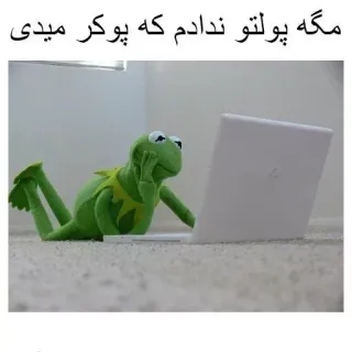 😕 Kermit مگه پولتو ندادم که پوکر میدی Kermit, frog, meme, laptop, internet, text, funny telegram sticker