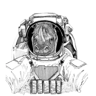 Animals in Space  @stickersb2b telegram stickers