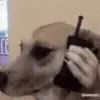 📞