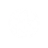 🌐