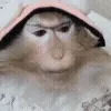 😀