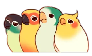 😐 pássaros, papagaio, agapornis, calopsita, animais, fofo, adesivo telegram sticker