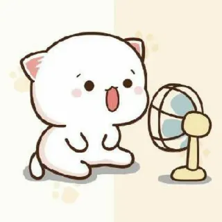 🍓 kucing, imut, penggemar, kartun, hewan whatsapp sticker