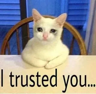 🐈 I trusted you... chat, triste, confiance, trahison, mème whatsapp sticker