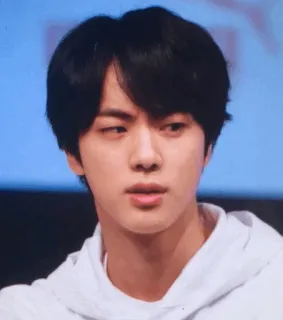 😒 Jin kpop, idol, ca sĩ, âm nhạc, chân dung, đàn ông, người nổi tiếng telegram sticker