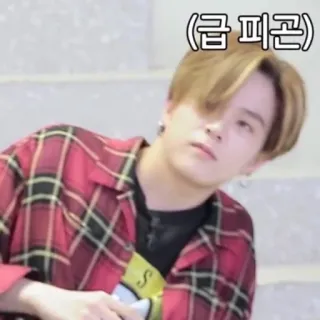 🥱 급 피곤 Coreano, stanco, assonnato, uomo, camicia a quadri whatsapp sticker