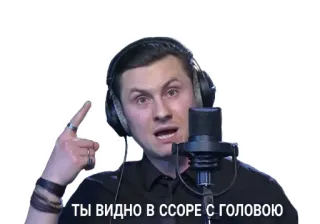 🧏 ТЫ ВИДНО В ССОРЕ С ГОЛОВОЮ personne, microphone, studio, russe, phrase telegram sticker