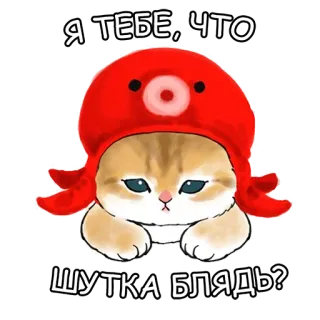 😟 Я ТЕБЕ, ЧТО ШУТКА БЛЯДЬ? 猫, 生气, 俄语, 章鱼 whatsapp sticker