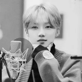 ▫️ lol 101 Idol, K-Pop, LOL 101, Hitam putih, Potret telegram sticker