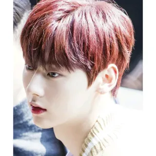 ☘ persona, retrato, asiático, hombre, coreano telegram sticker