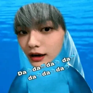 🌸 da da da da da da da da 돌고래, 귀여운, 웃긴, K팝, 밈 telegram sticker