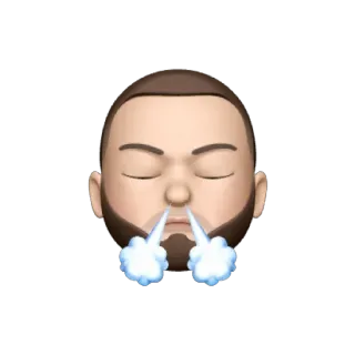 😤 Emoji, Cabeça, Vapor, Nariz, Avatar, Relaxado whatsapp sticker