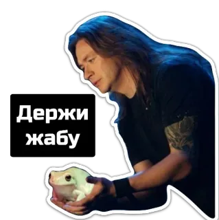 🐸 Держи жабу ผู้ชาย, กบ, ถือ, รัสเซีย, สัตว์ whatsapp sticker