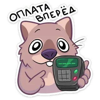 🤑 ОПЛАТА ВПЕРЁД animal, wombat, pagamento, caixa registradora telegram sticker