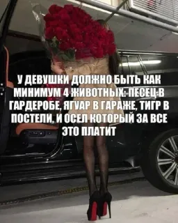 🌟 У ДЕВУШКИ ДОЛЖНО БЫТЬ КАК
МИНИМУМ 4 ЖИВОТНЫХ: ПЕСЕЦ-В
ГАРДЕРОБЕ, ЯГУАР В ГАРАЖЕ, ТИГР В
ПОСТЕЛИ, И ОСЕЛ КОТОРЫЙ ЗА ВСЕ
ЭТО ПЛАТИТ หรูหรา, ไลฟ์สไตล์, อารมณ์ขัน, ตลก, ผู้หญิง, ความมั่งคั่ง, ดอกกุหลาบ, รถยนต์ telegram sticker