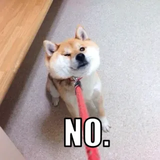 🙄 NO. chien, non, shiba inu, mème, mignon, refus telegram sticker
