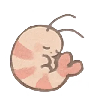 😞 Garnele, Meeresfrüchte, Essen, süß, Tier whatsapp sticker