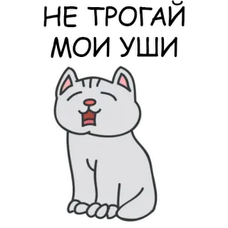 😄 НЕ ТРОГАЙ МОИ УШИ cat, animal, cute, don't touch, funny, sticker telegram sticker